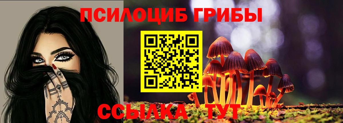 Санкт-Петербург  Галлюциногенные грибы Cubensis  Псилоцибиновые грибы MAGIC MUSHROOMS  закладки  Вход с VPN 